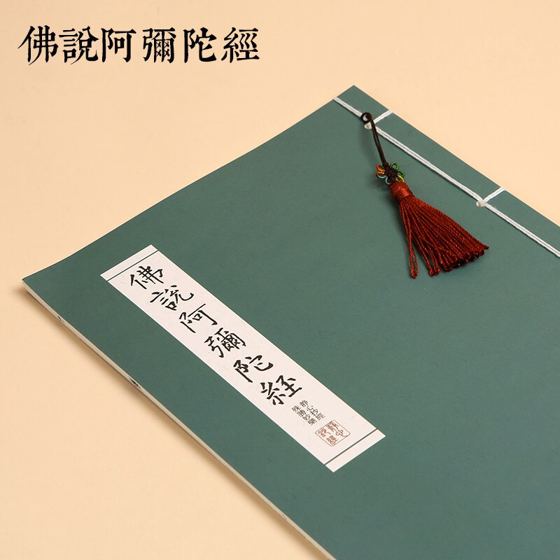 Buddhist Scriptures Copybook Regular Script Calligraphy Beginner Adult Hard Pen Handwritten Heart Sutra Copy Books: 1 BOOK D