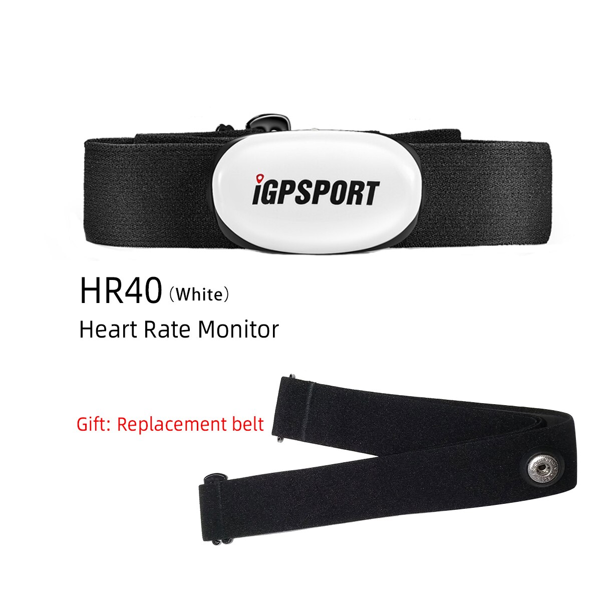 IGPSPORT – moniteur de fréquence cardiaque Intelligent HR40, Panda-Shapa, , port de poitrine, Support vélo, application Mobile pour ordinateur: HR40 White gift belt