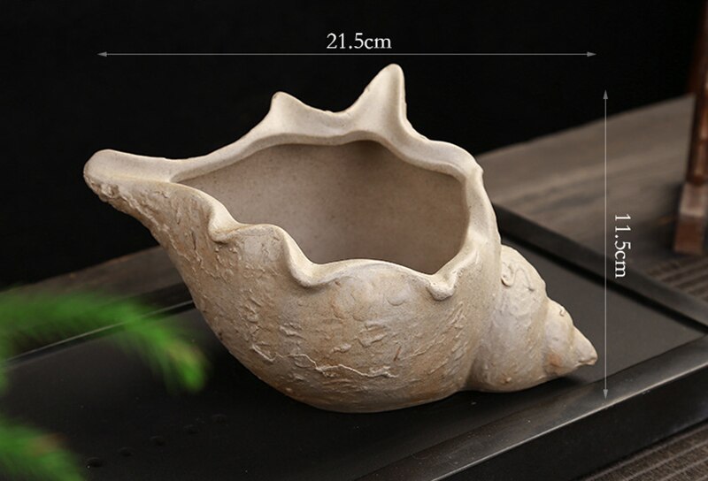 Coarse pottery flower pot shell Shape Ceramic Succulent Plant Pot Holder Fairy Garden Cactus Flower Pots Planter