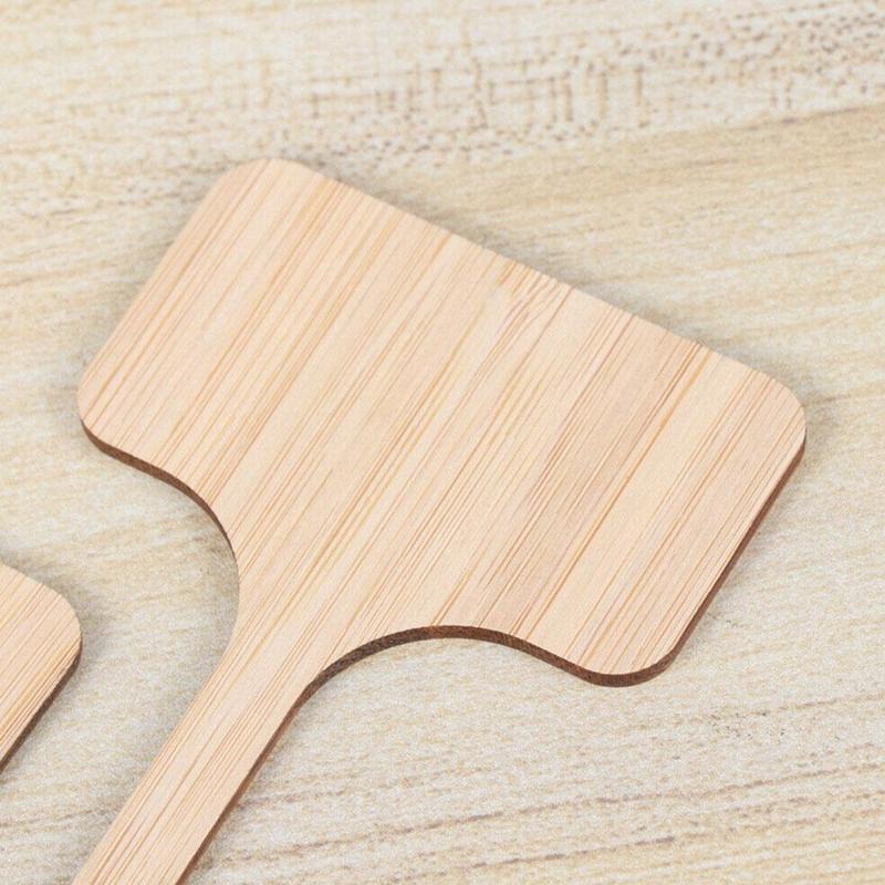 ZIQI 100 stuks bamboe plantenlabels, milieuvriendelijke T