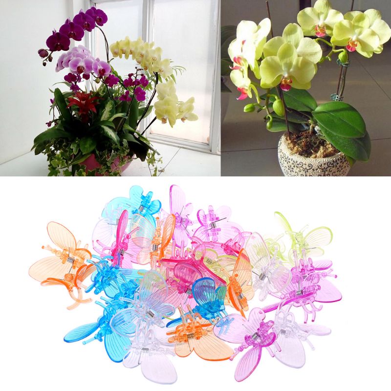 30 Pcs Butterfly Orchid Clips Plant Clips Garden Flower Vine Support Clips Cute