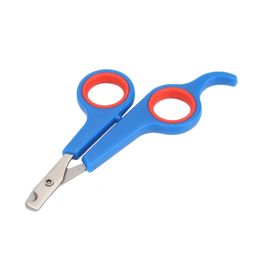 Pet Nail Toe Clipper Scissors Pets Safety Nail Cutter Stainless Steel Pet Dog Cat Claw Grooming Trimmer Nailclipper: Blue