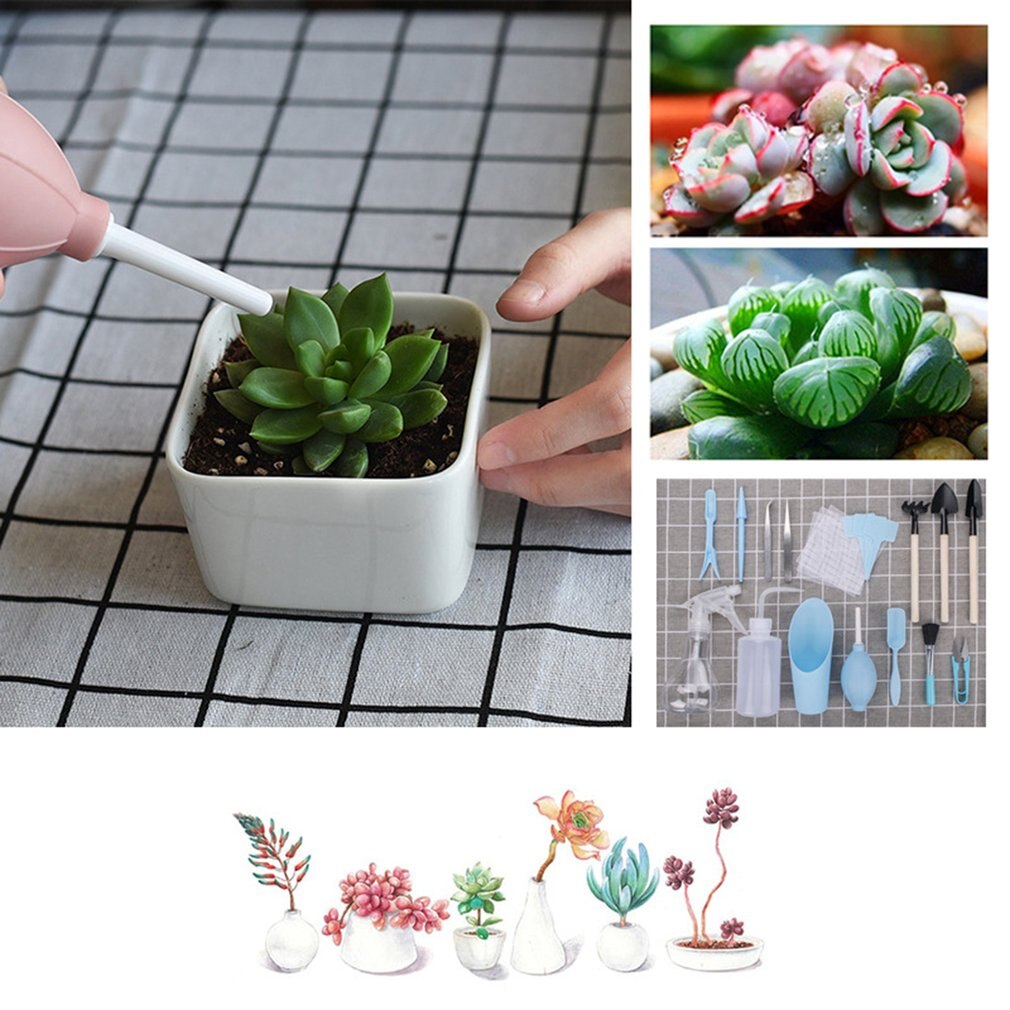 Combination Of Tools For Growing Succulent Plants Transplanting Tool Set Loosening Soil Supplies Gardening Hand Tool Set