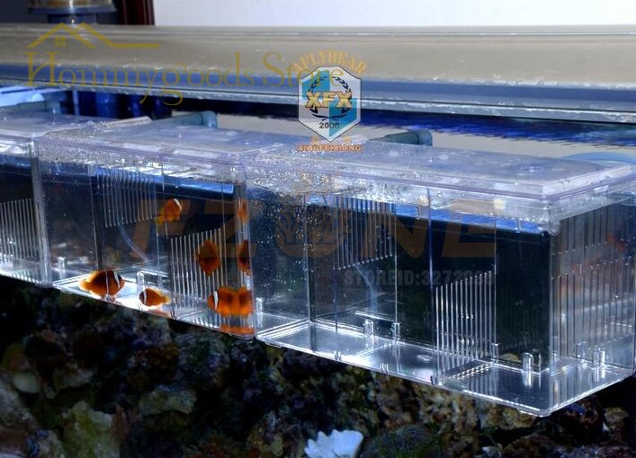 Boîte d'élevage de poissons, Aquarium, séparation des flux d'eau, réservoir de plantes