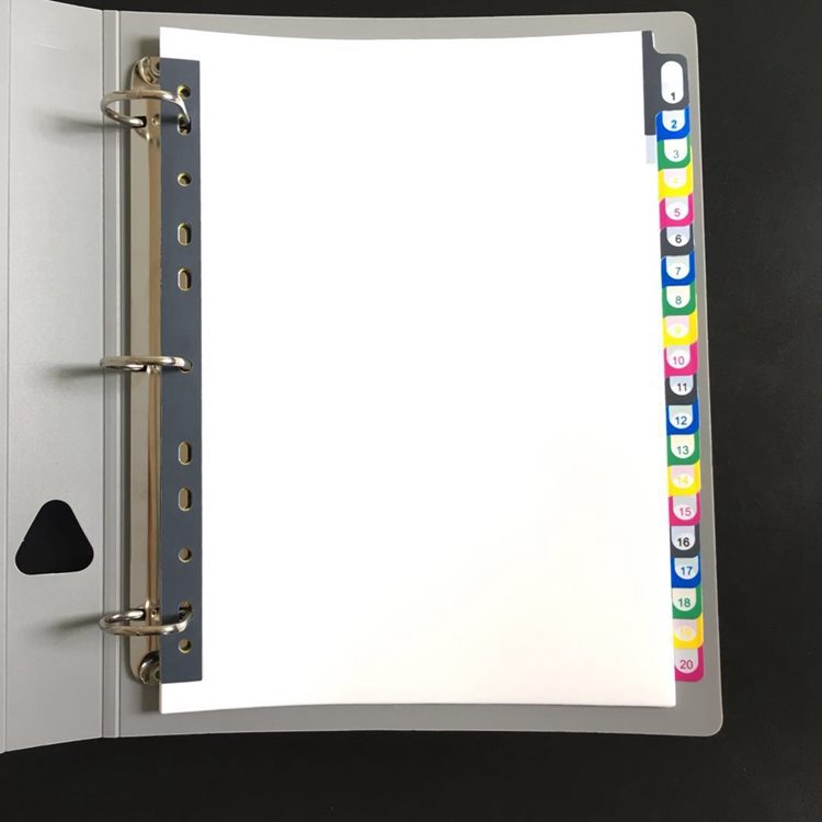Divisor de índice de página de plástico blanco A4, 20 páginas, 11 agujeros, archivos, archivos, papel, organizador, accesorio de oficina