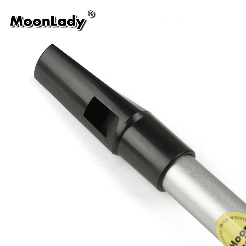 Flauta de Metal de 6 agujeros, silbato irlandés de aleación de aluminio, con todos los accesorios