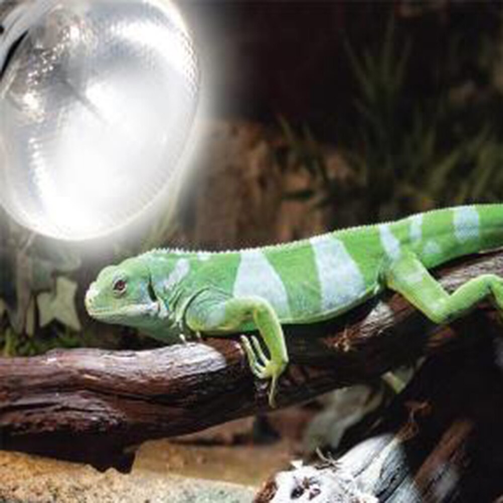 Reptil Volle Spektrum Solar- Lampe Sonnenlicht Sunlamp Temperatur Kontrolle 100W 160W