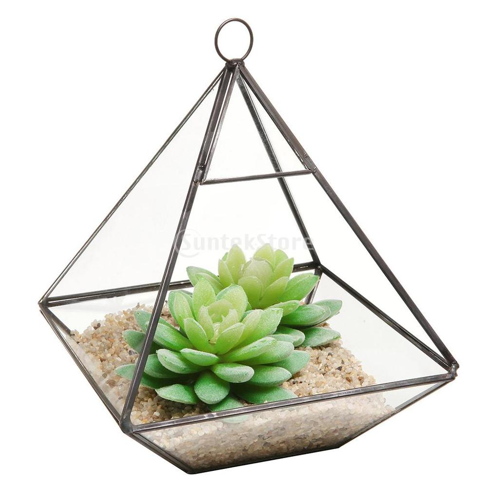 Glass Succulent Terrarium Box Air Plant Fern Moss Display Case Indoor Outdoor