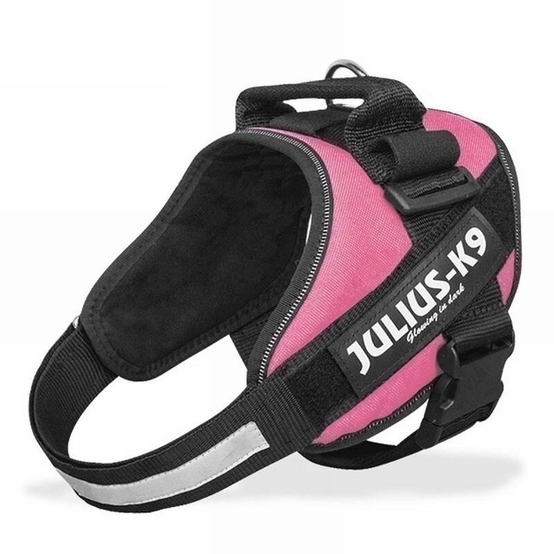 Uprząż zwierzęca zestaw JULIUS K9 smycz dla psa dla małego dużego wzrostu szkolenia Pet Safety Cat wodoodporny Nylon: L / Pink