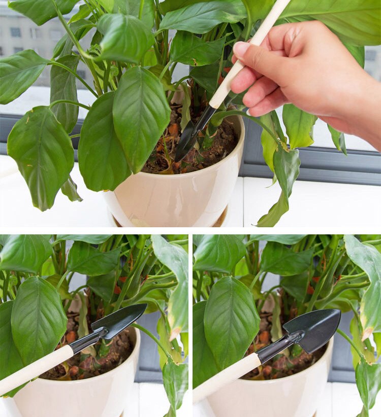 3 stk/sæt mini skovl rive sæt træskaft metal hoved skovl til blomster potteplanter mini haveredskab frø spredere