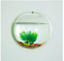 Væghængende montering akryl akvarium / væg akvarier væg akvarium boligindretning-: En gennemsigtig / M