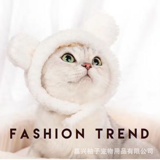 Söta sällskapsdjur pannband plysch garn katt hund keps panda gris cosplay huvudbonad chick tillbehör husdjur hatt husdjur kostym varm аксесуары для собак: Grön