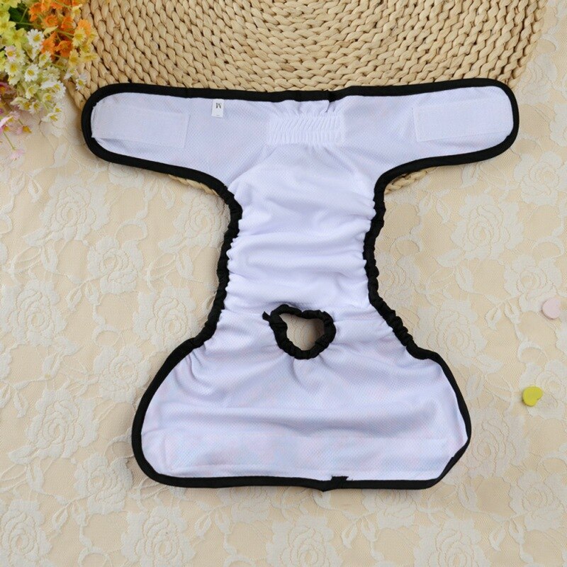 Couche-culotte physiologique pour chien, culotte pour chien, sous-vêtements pour chiens, fournitures pour animaux de compagnie,