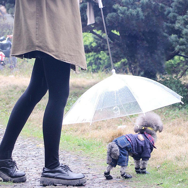 Sombrilla portátil transparente para pasear con perros pequeños, gatos y mascotas, con cadena, para mantener la sequedad bajo la lluvia, herramienta de engranajes para exteriores