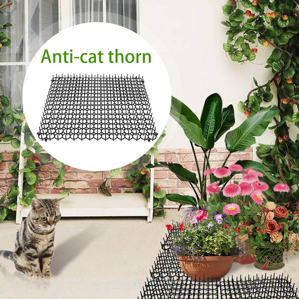 5 pièces Anti-chat épine jardin en plastique clou Pad Animal répulsif plante Protection outil