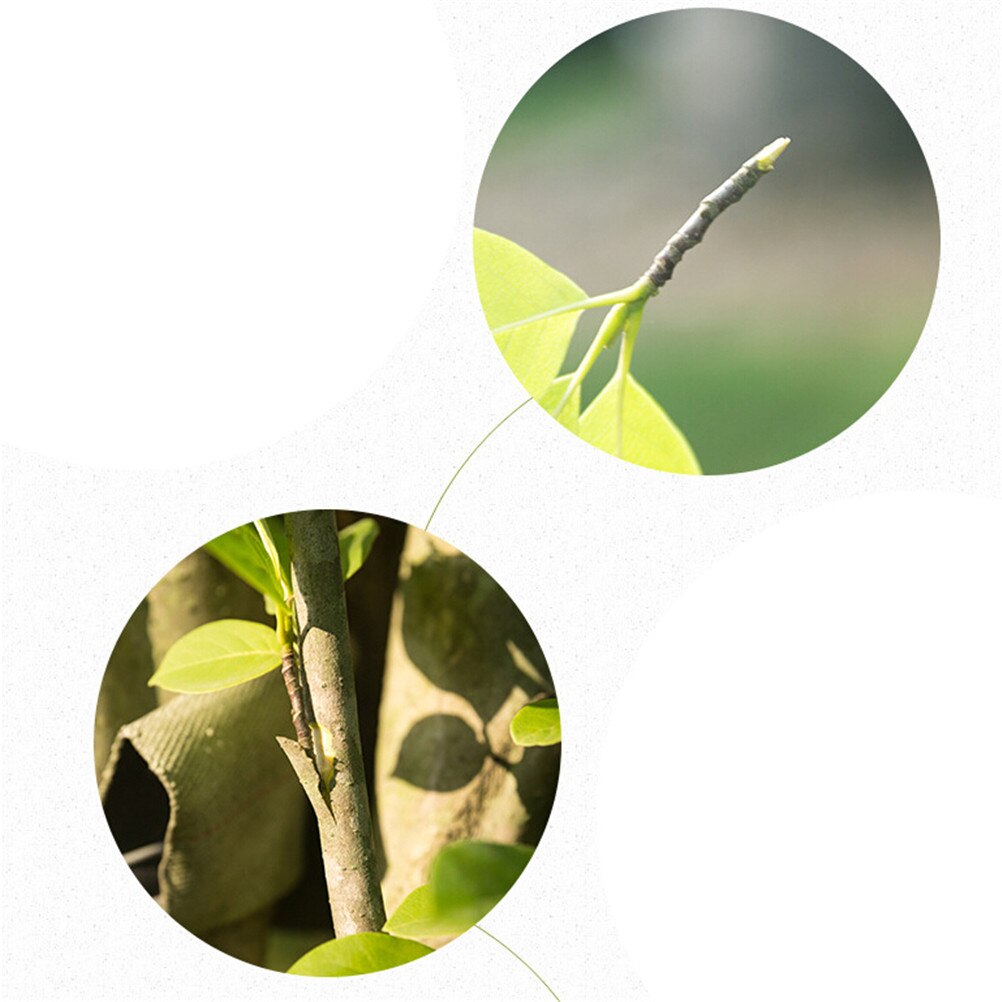 Ruban de greffe pour greffage, outils de jardinage, branche d'arbre fruitier, adhésif sensible à la pression, 2cm de largeur
