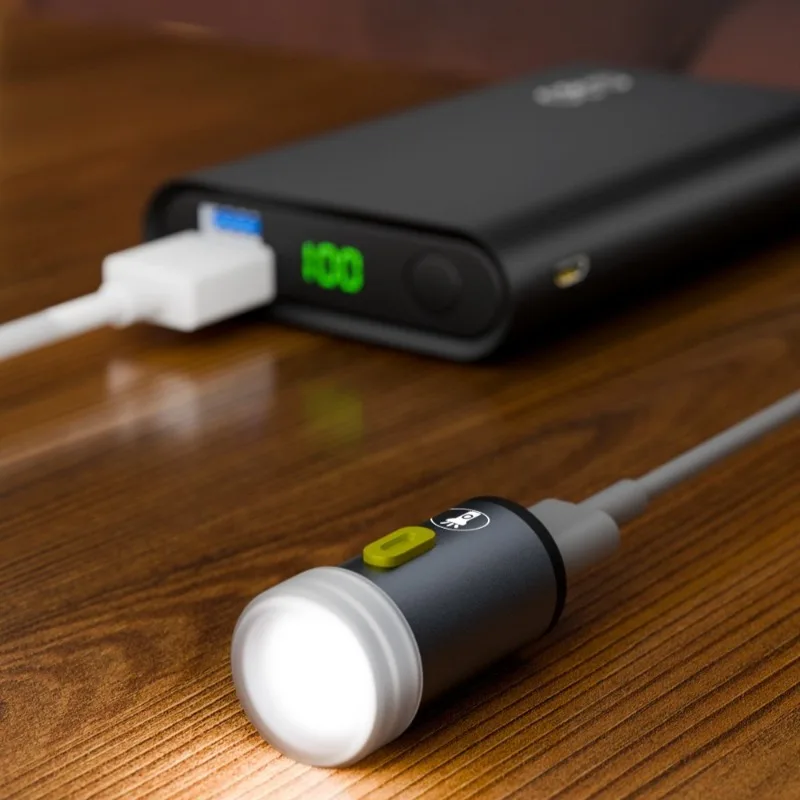 Compacte Type C Power-zaklamp Mini draagbaar LED-licht Kleine LED-zaklampen voor buitenverlichting Fietsen Kamperen en wandelen