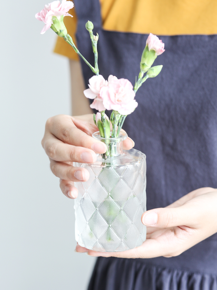 Enkle moderne gennemsigtige glas små vaser ins vintage mini bord blomstervase floreros de decoracion boligindretning håndværk krukker