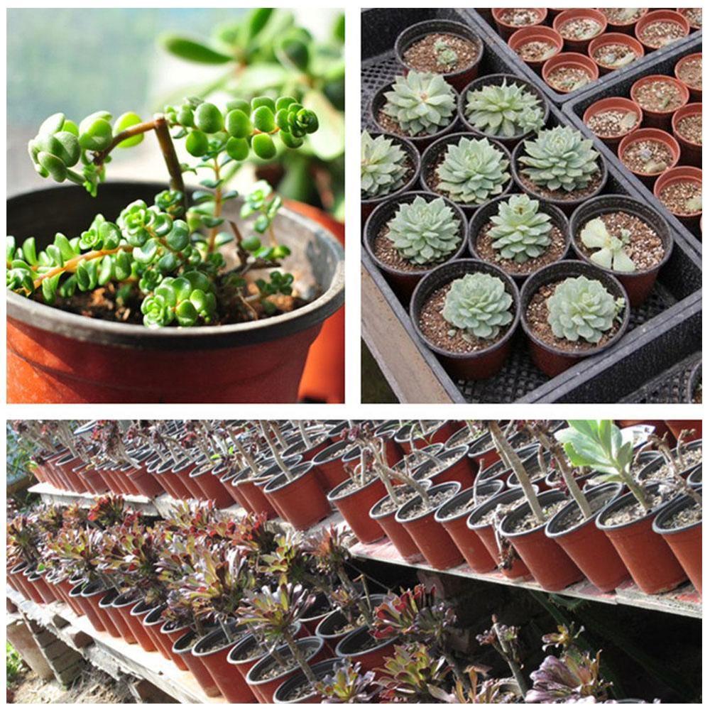 Boîte de culture en plastique, 10 pièces, plateau de semis résistant aux chutes pour la maison, jardin, Pot de plante, pépinière, repiquage, Pots de semis de fleurs