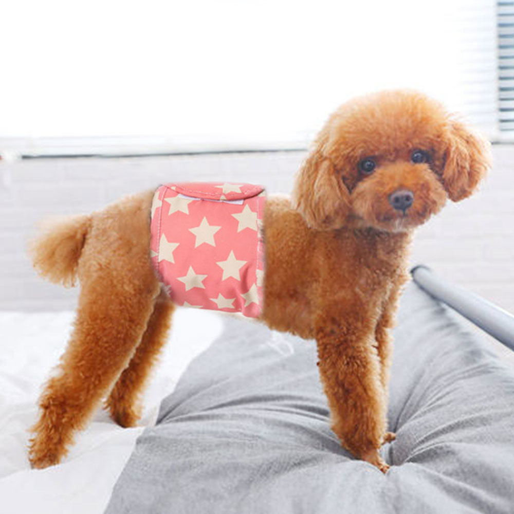 Hundehortshvalpe hvalp fysiologiske bukser bleundertøj til små hunde til meidiumpiger