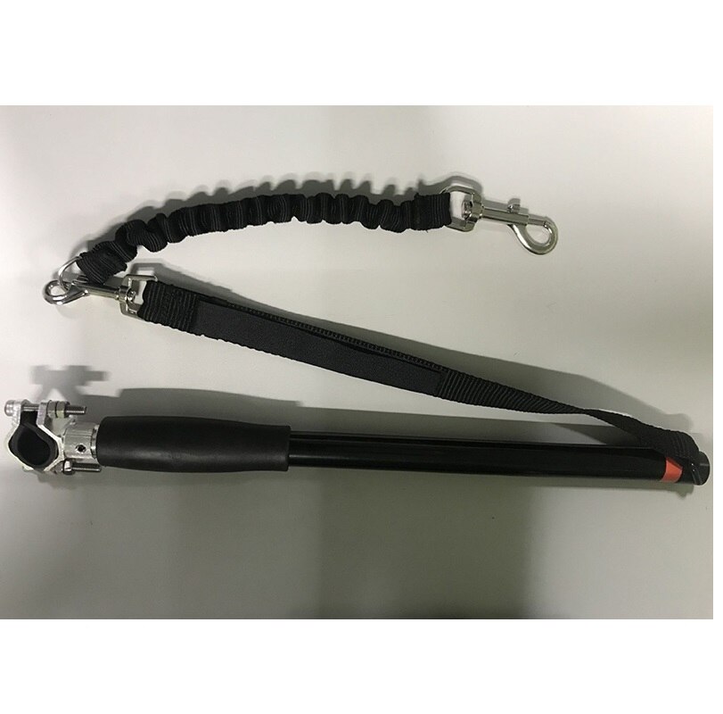 Elastisk hund cykel trækbælte løb gåtog tog til store små kat kæledyr snor hunde snor reb nylon tenac