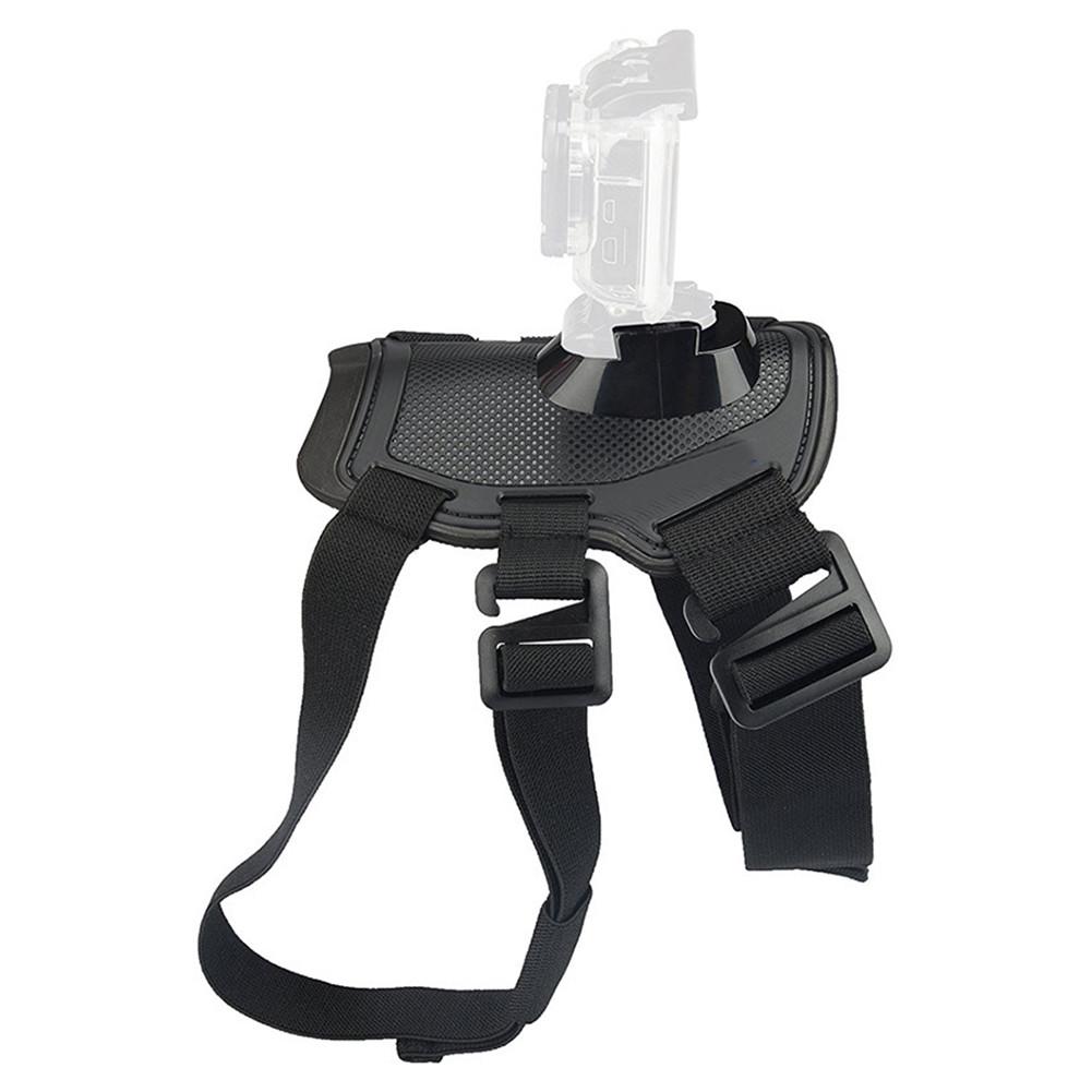 Harnais pour chien de compagnie Sport caméra | Bracelet élastique à l'arrière, ceinture pour chiens, harnais pour GoPro Hero, fournitures d'extérieur pour animaux de compagnie