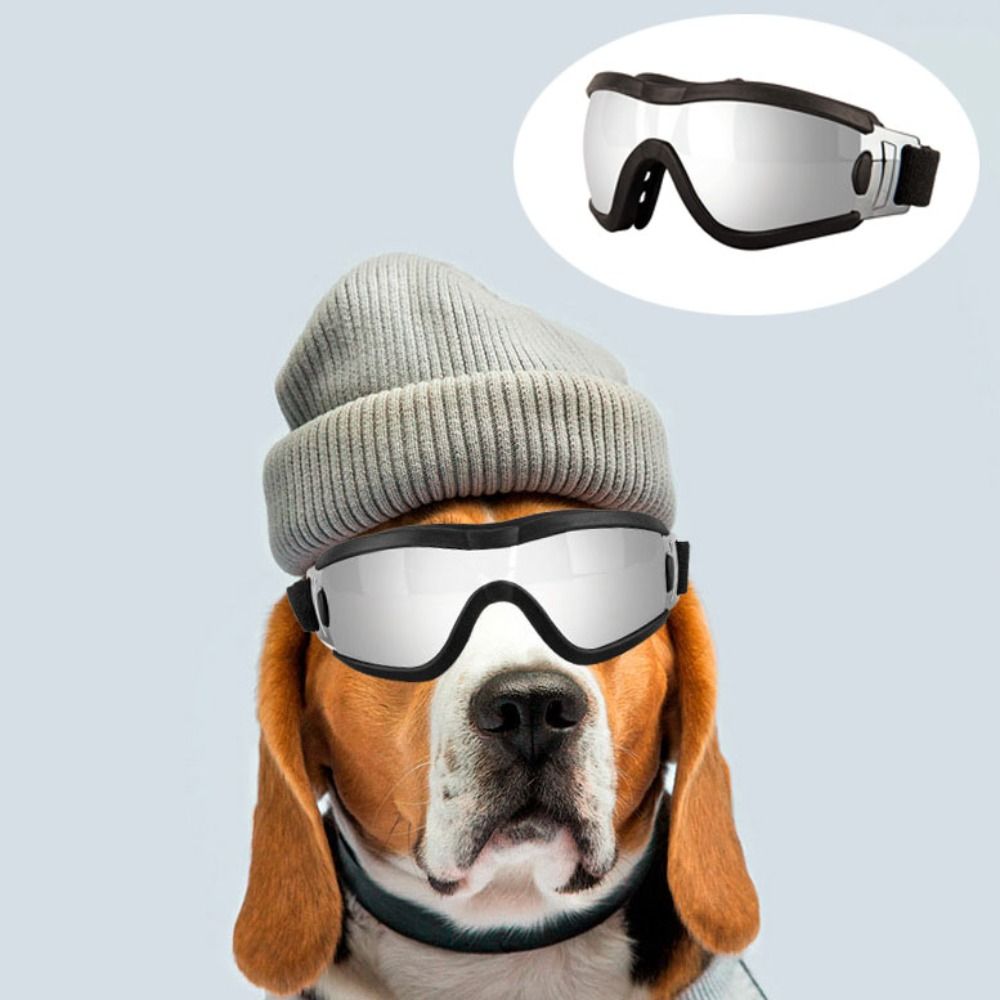 Lunettes de soleil pour chien, sangle réglable, résistantes aux UV, imperméables, coupe-vent, Anti-buée, pour animaux de compagnie, voyage