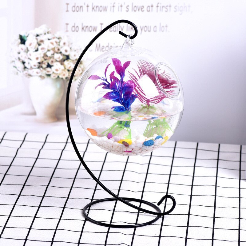 Ecosphère-boule de poisson rouge suspendue | Aquarium, bol de réservoir de poisson, Vase de plante de fleur, bol de Table pour petits accessoires fournitures pour animaux de compagnie
