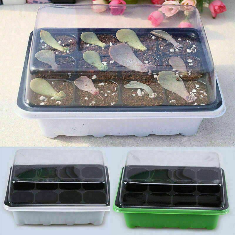 3PCS 12/24Cells Growth Trays with Cover Mini Propagator Seedling Tray for Seed Starting Growing Plants Gardening Nursery Pots