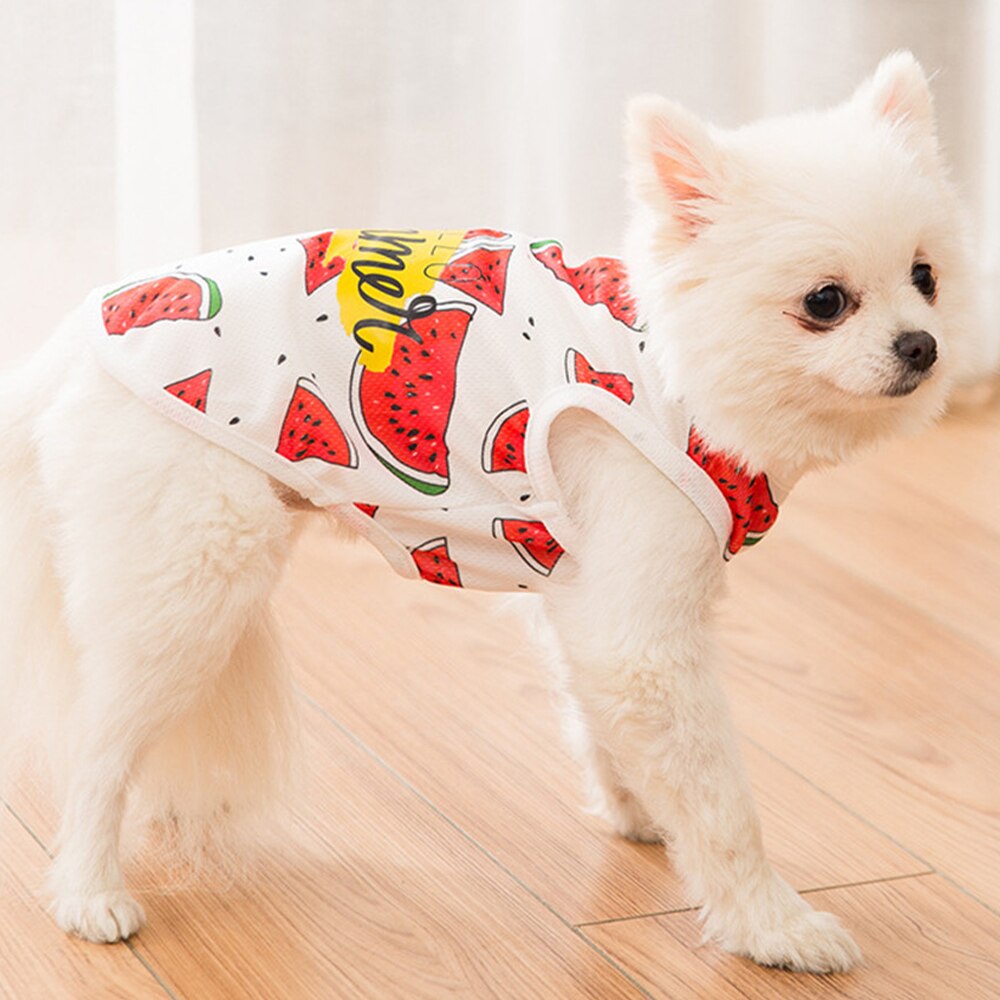 Miflame Hello Summer ropa de perro chalecos para disfraces de mascotas Chihuahua Pomerania camisetas de camisas con de chaleco para mascota playera para mascota