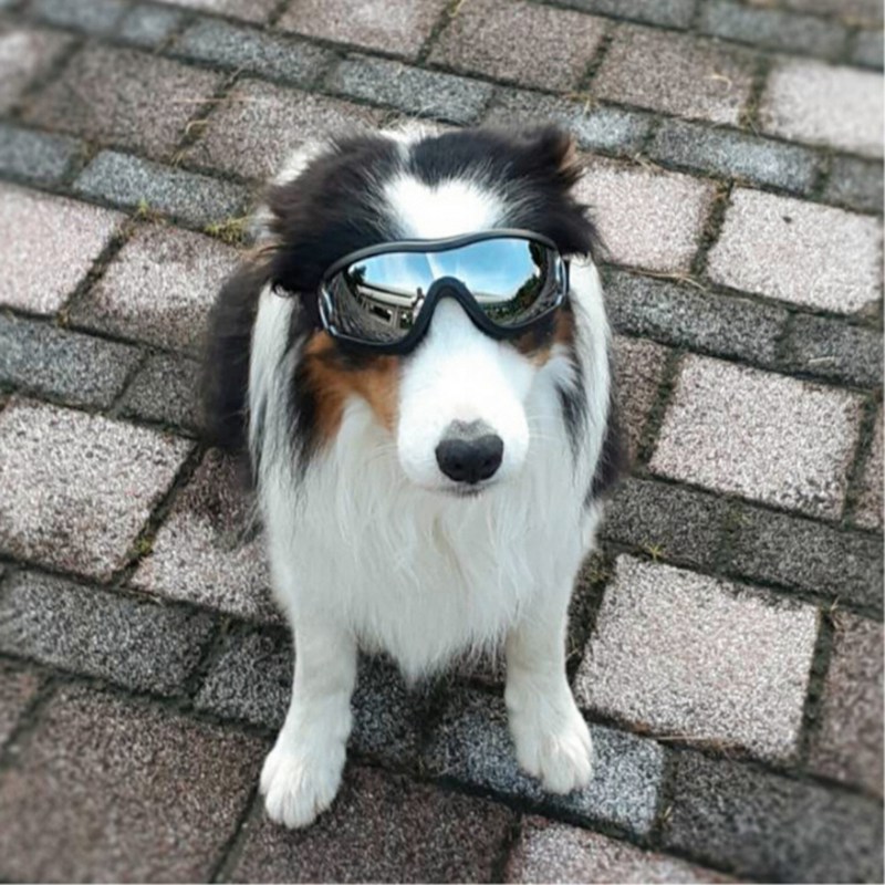 Cool Hond Zonnebril Uv-bescherming Winddicht Goggles Pet Eye Dragen Medium Grote Hond Zwemmen Schaatsen Bril Accessaries
