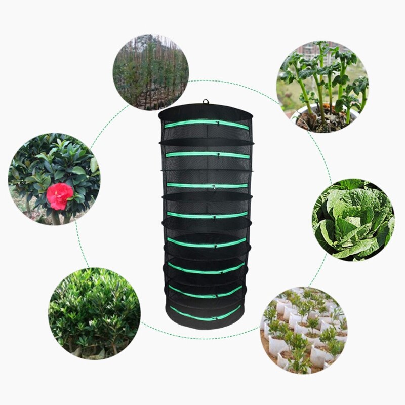 Multi-Layer Herb Hanging Drying Rack Fishing Net w... – Vicedeal