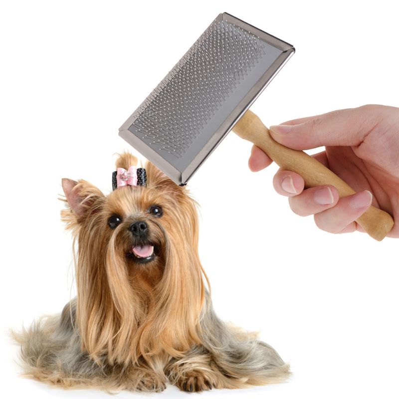 Kæledyr grooming kam kaste hår fjerne børste træ håndtag glatter hund katteforsyning