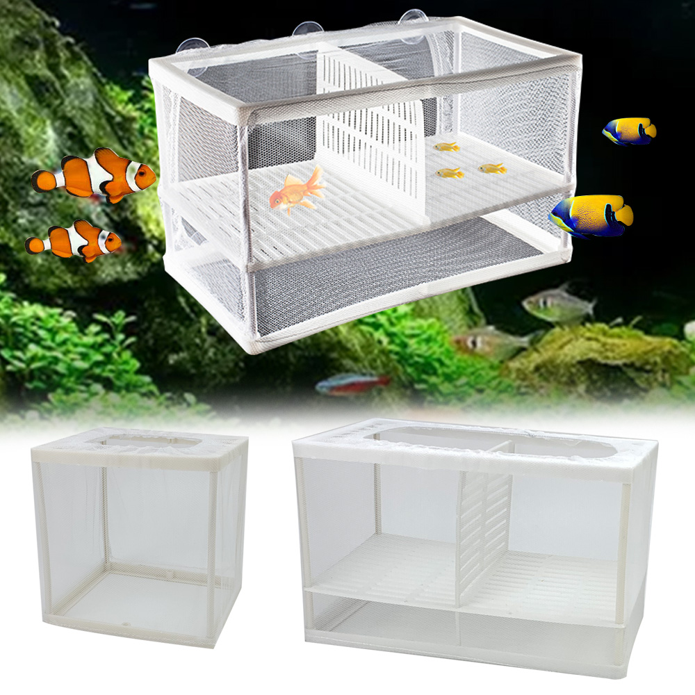 Boîte d'isolation pour poissons d'aquarium, petit bol pour poissons d'élevage filet d'isolation pour bébés, incubateur pour Betta