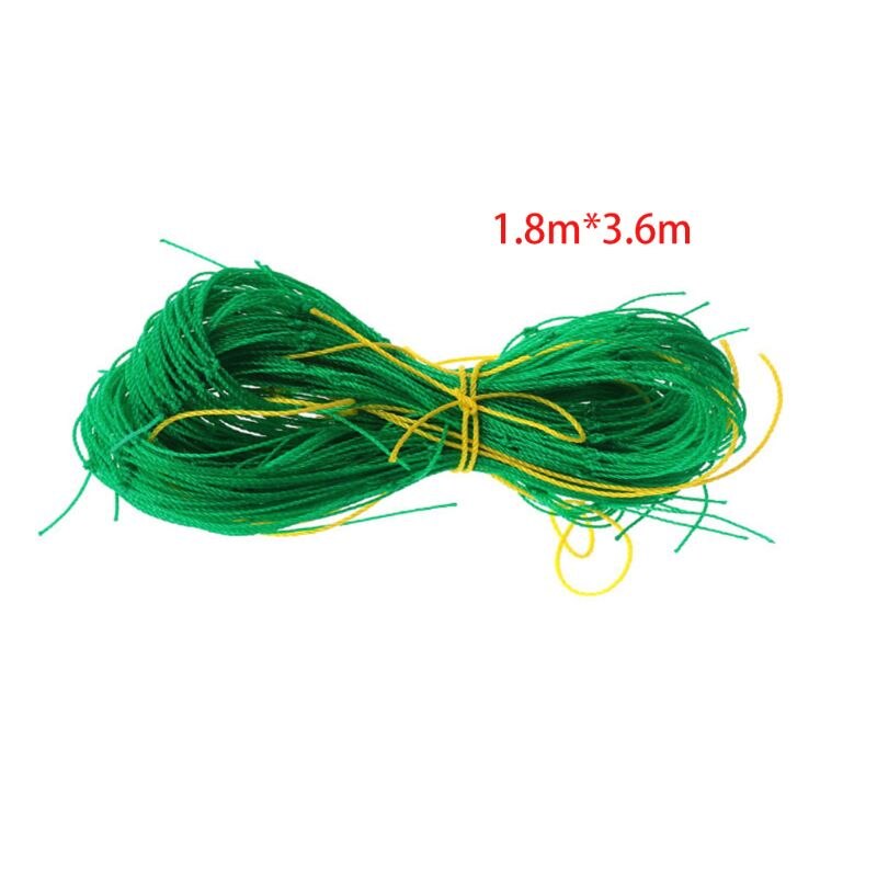 Tuin Planten Klimmen Netto Plastic Nylon Morning Glory Bloem Wijnstok Netting Groeien: 2