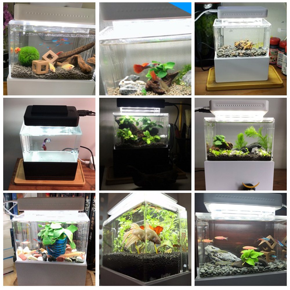 Mini Aquarium de bureau lumière LED Aquarium poissons bol avec filtre à eau USB pompe à Air Filtration Betta poisson bol réservoirs Aquario
