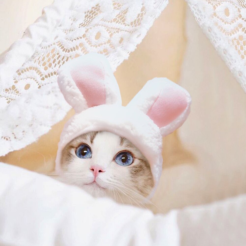 Costume Cosplay animal animal chat chaton | Drôle, chapeau bonnet lapin, chapeau chat mignon, Halloween noël vêtements chapeaux, petits chiens, accessoires