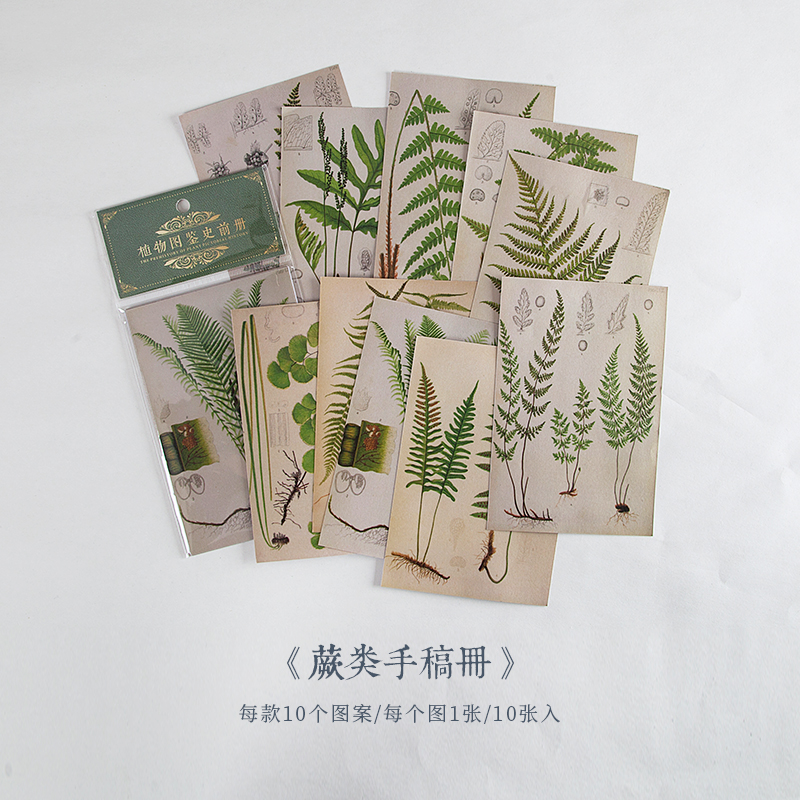 Papel de fundo de borboleta, papel de lixo de papel de diário, scrapbook de plantas, decorativo, vintage, papel de fundo de artesanato faça você mesmo com 10 peças: C