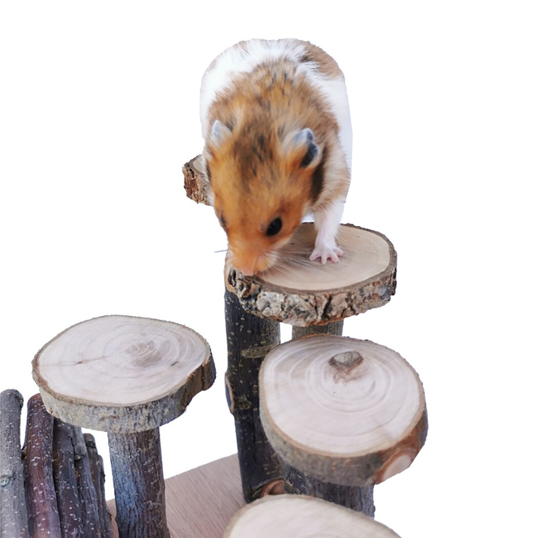 neue Nette Hamster Aktivität Plattform Holz Kleine Tier Spielplatz Hamster Klettern Spielzeug Pet Produkte