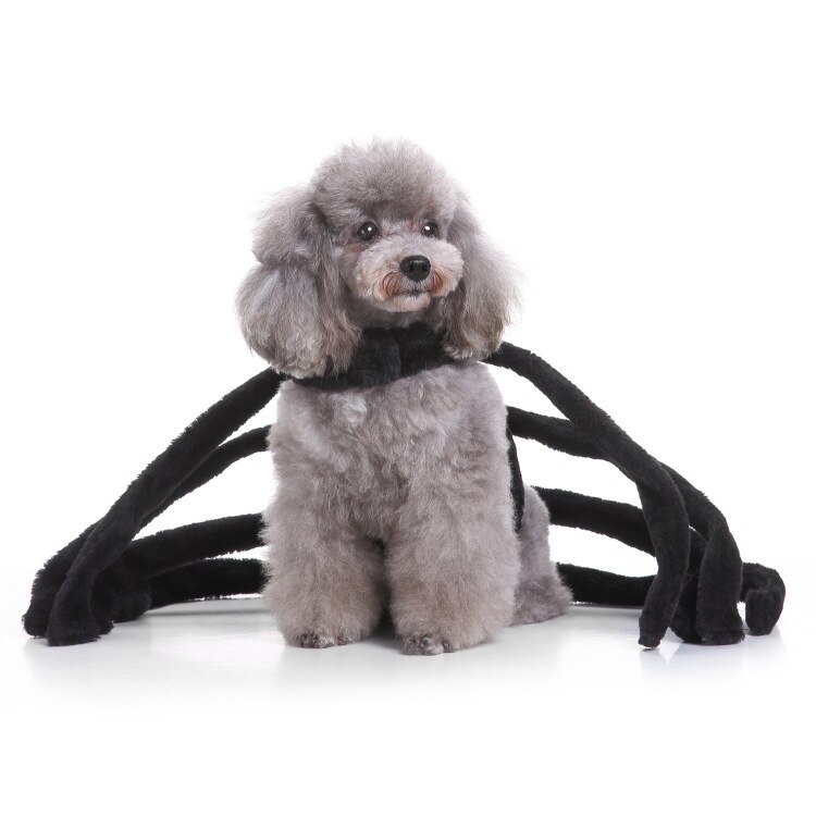 Spider Dog Costume Halloween Costumes for Small Dogs