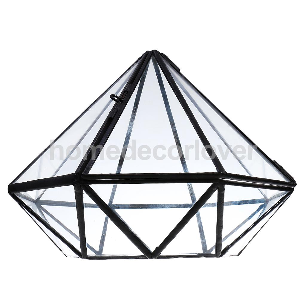 Irregular Glass Geometric Terrarium Box Tabletop Succulent Air Plant Fern Moss Pot Planter: 7