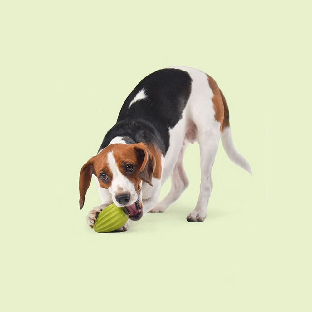 Verkoelend speelgoed hond, Koel speelgoed