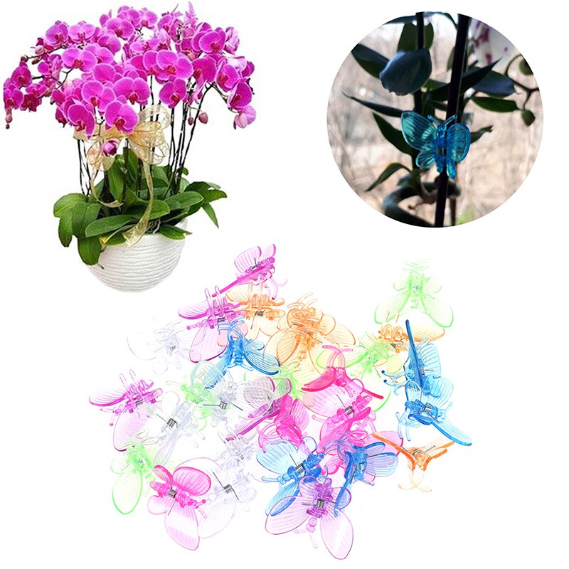 30 stk søde sommerfugle orkidé klip plante klip have blomst vin støtte klips