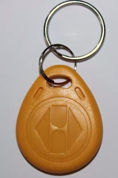 3 couleur bleu rouge jaune porte clé puce 100 pcs/lot 125kHz RFID proximité ID jeton étiquette porte-clés rfid porte-clés pour porte d'entrée: yellow 100PCS