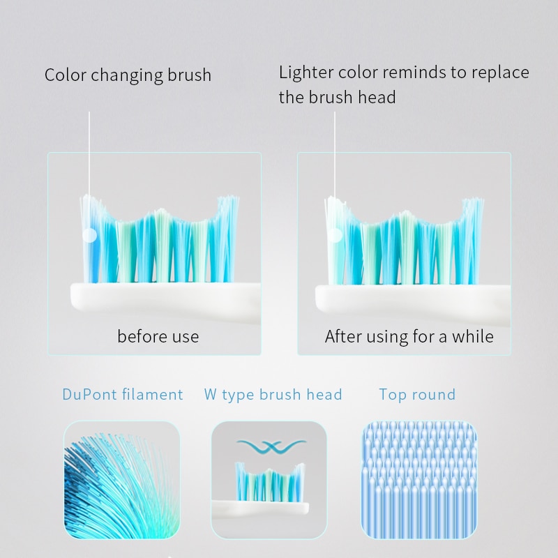 SEAGO Electric Toothbrush Sonic Adult Battery Tooth brush 2 Replacement Brush Heads Timer Waterproof brush your teeth E2