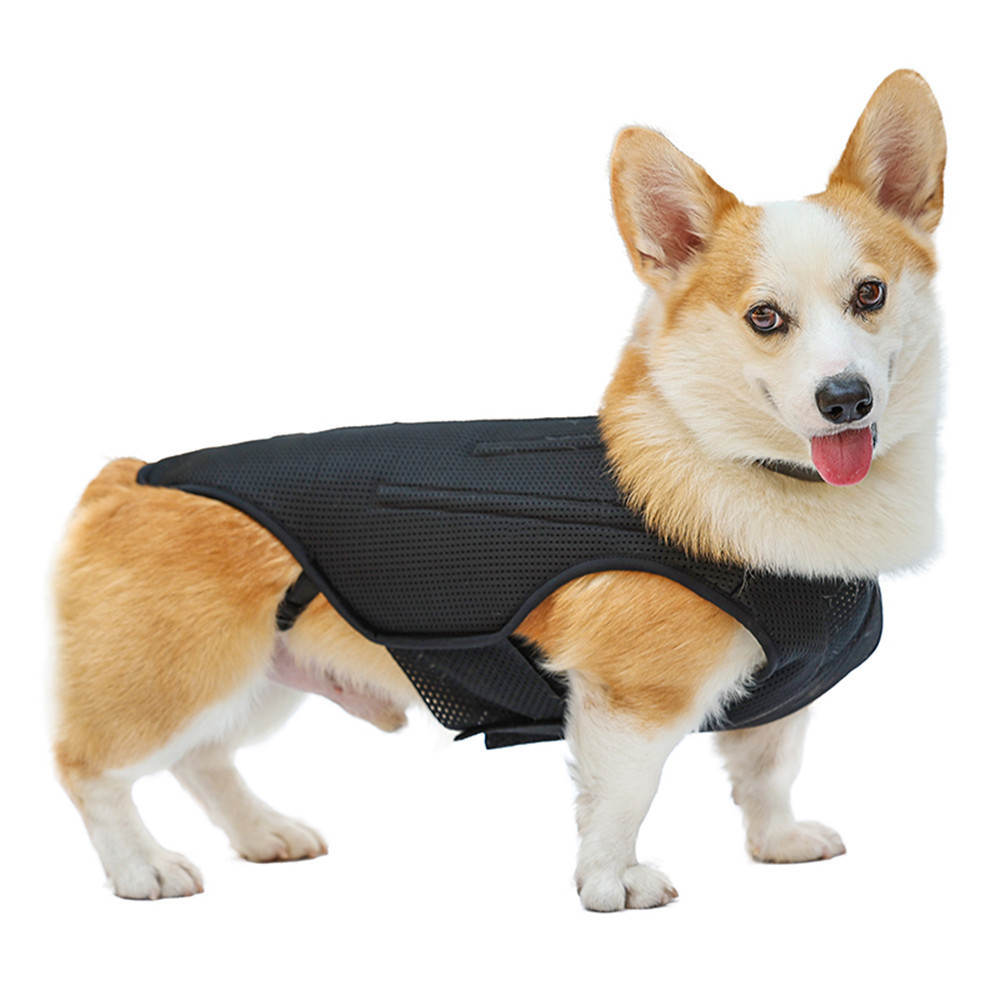 Pet Dog Back Protective Vest IVDD Intervertebral Disc Disease Recovery Brace Pet Back Pain Relief Support Harness Pet Supplies