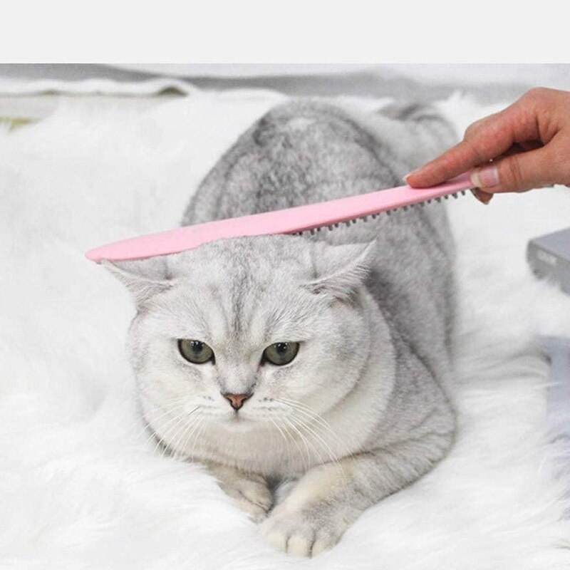 Peigne de Massage de langue de chat, peigne de langue de chat avec l'herbe à chat, outil d'épilation de toilettage pour animaux de compagnie pour masser et enlever les cheveux lâches