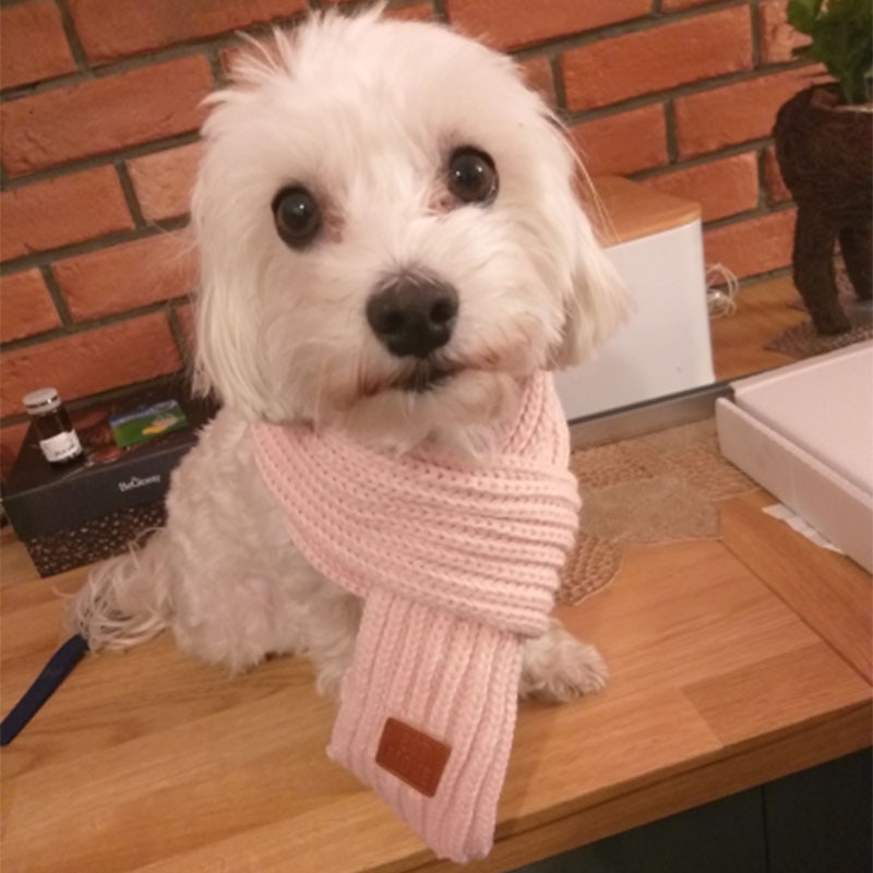 Écharpe d'hiver pour animaux de compagnie, grand foulard en tricot doux pour grands chiens, Bandana chaude pour chiens et chats, écharpe épaisse et chaude pour animaux de compagnie