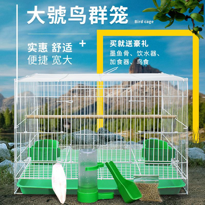 Bird cage pigeon cage tiger parrot wen bird myna white-eye lark bird cage large oversized breeding home