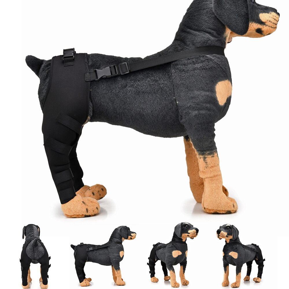 Hunde-Ellbogenschutz – Atmungsaktive Bandage Für Empfindliche Gelenke (Größe XL)
